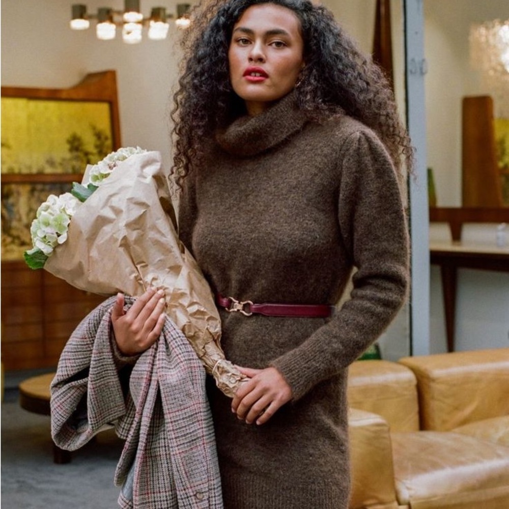 Rouje Chocolate Brown Turtleneck Sweater Dress